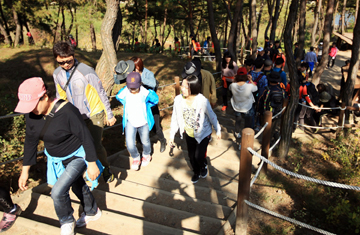 구절초와 들국화가 피어나고 단풍이 화려하게 물들어가는 지난 주말 괴산군 칠성면 산막이 옛길을 찾은 관광객들이 트래킹을 하고 있다.